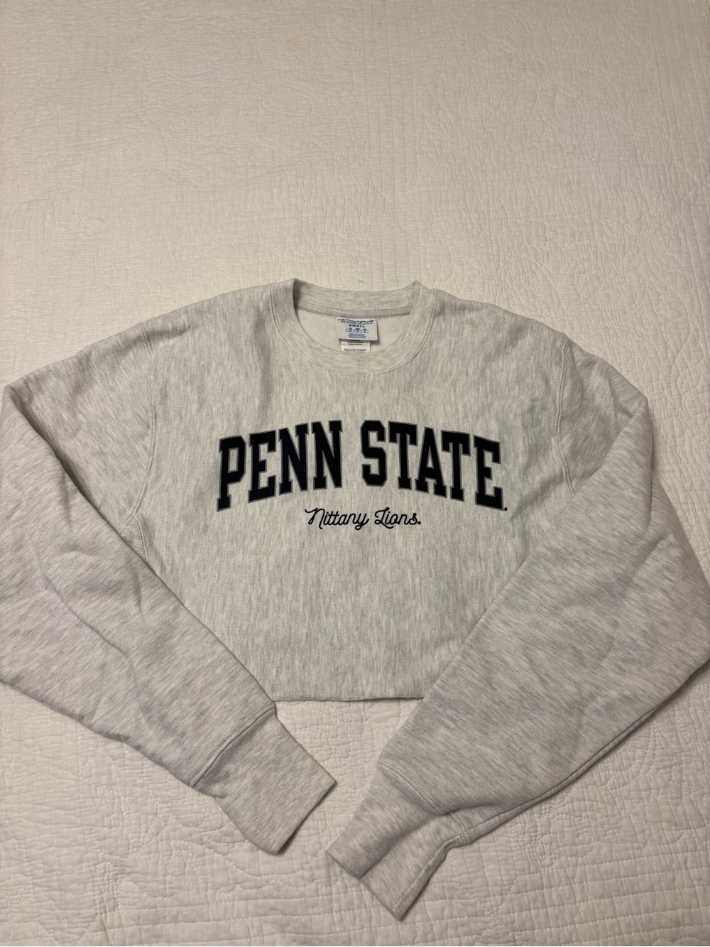 Penn State 'Nittany Lions' Gray Crewneck cropped Sweatshirt